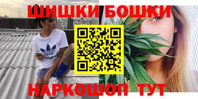apvp Аргун