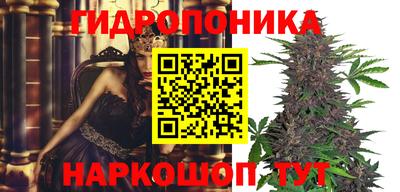 амф Апшеронск