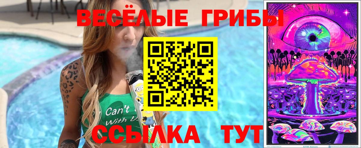 Галлюциногенные грибы GOLDEN TEACHER Балахна