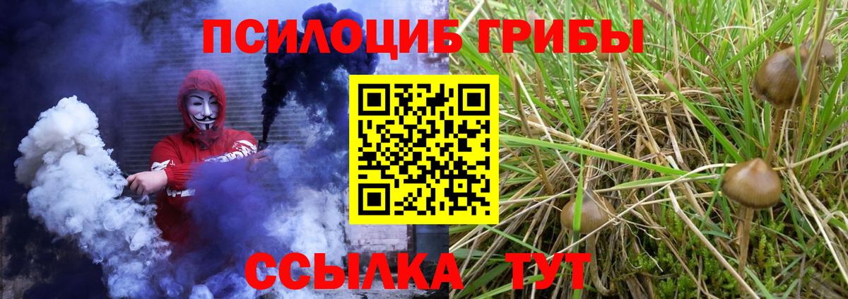магазин  наркотиков  Вход с VPN  Балахна  Псилоцибиновые грибы MAGIC MUSHROOMS 
