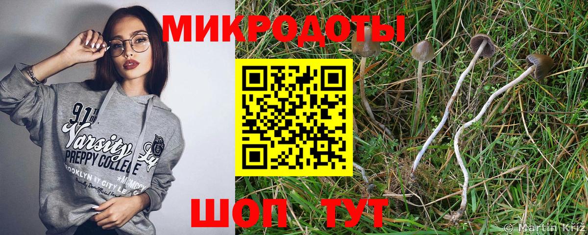 Галлюциногенные грибы мухоморы Балахна