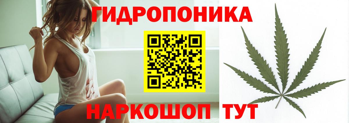 Каннабис OG Kush  Балахна  Бошки марихуана OG Kush  Канабис SATIVA & INDICA  Шишки марихуана индика 